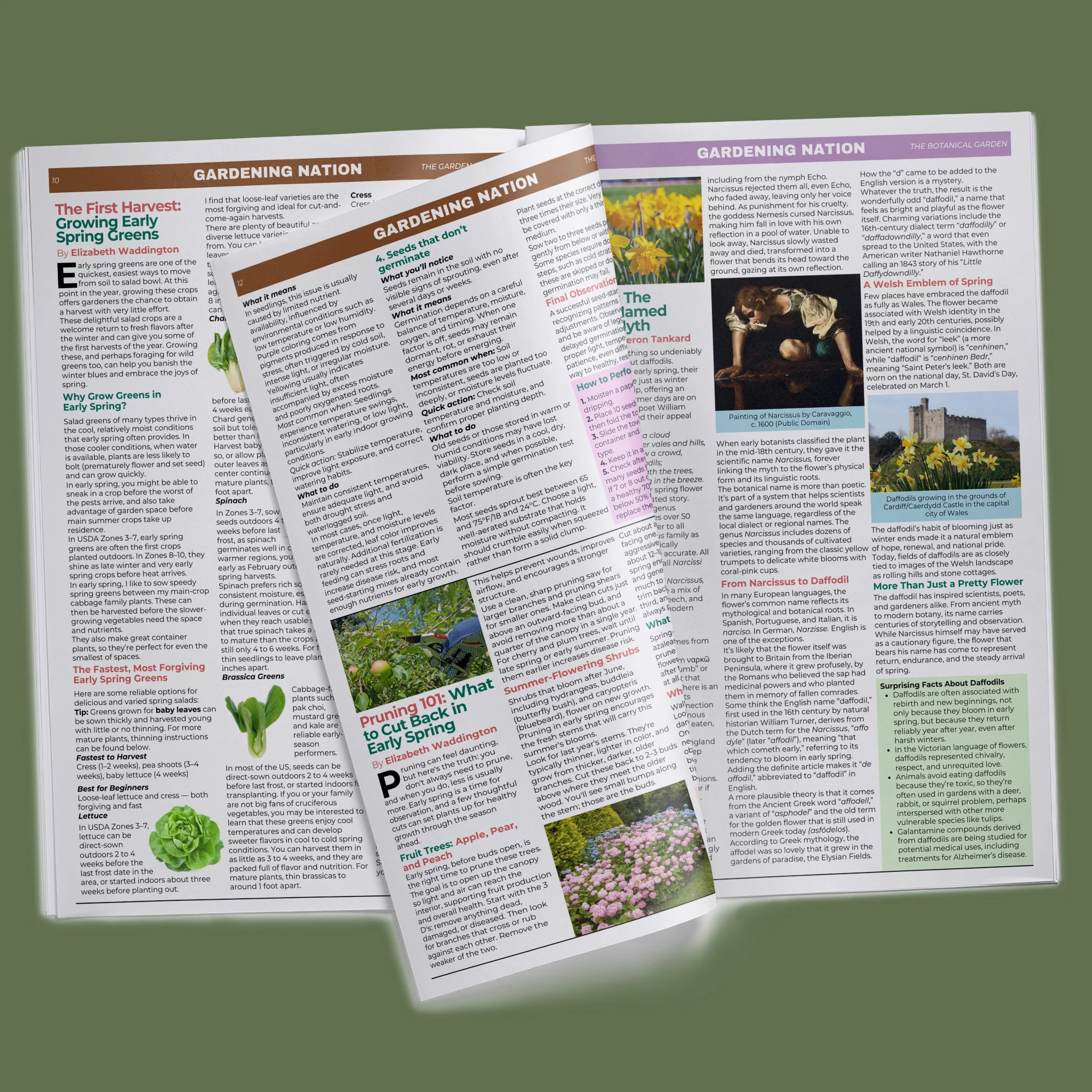 Annual Subscription • Gardening Nation - Image 10