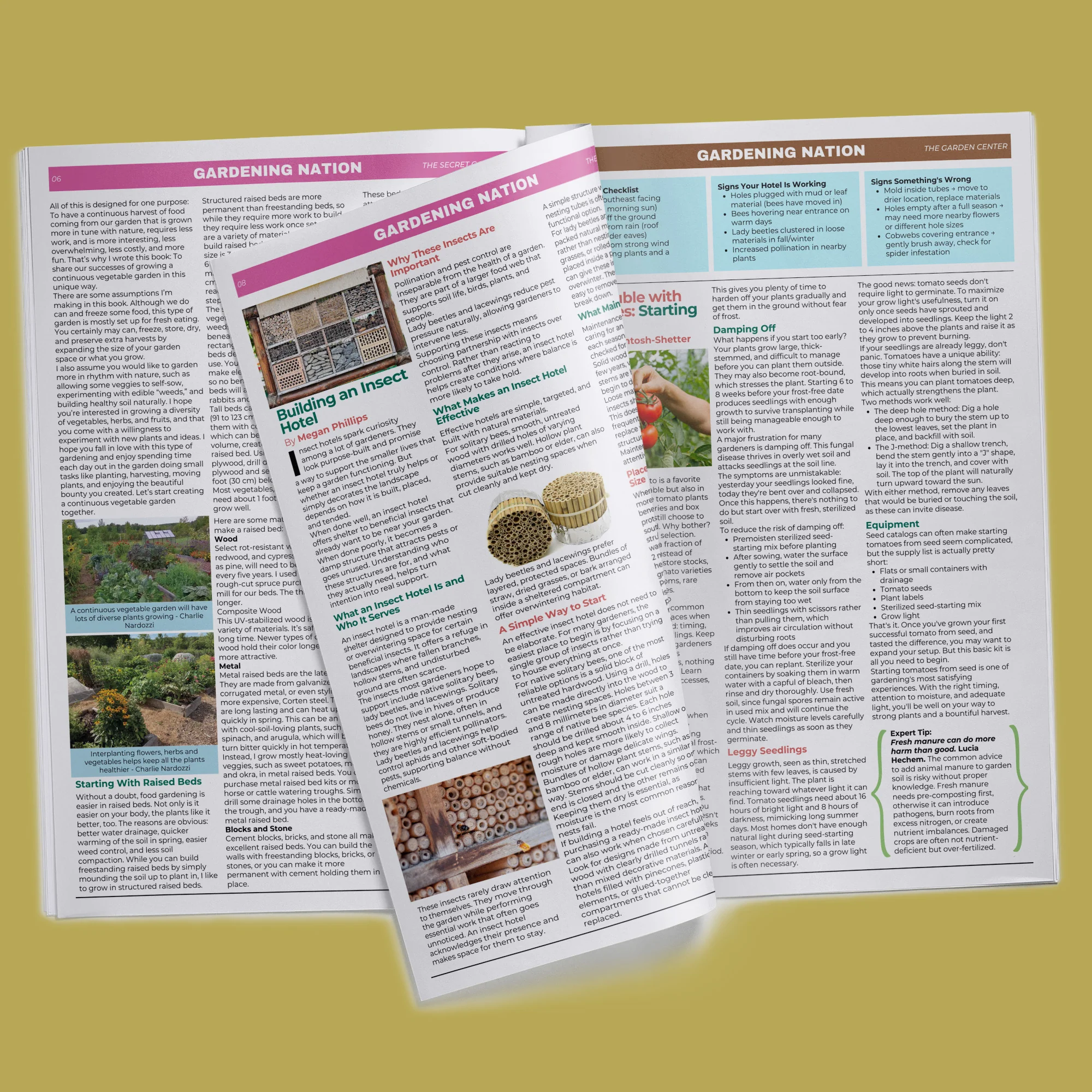 Annual Subscription • Gardening Nation - Image 11