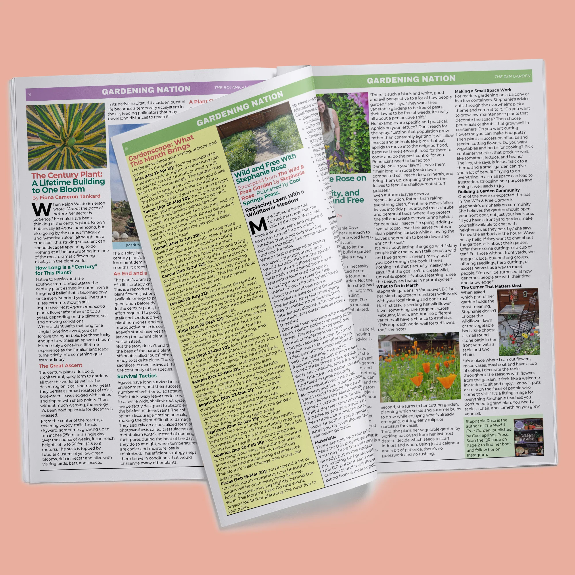 Gardening Nation • Issue 1 - Image 11