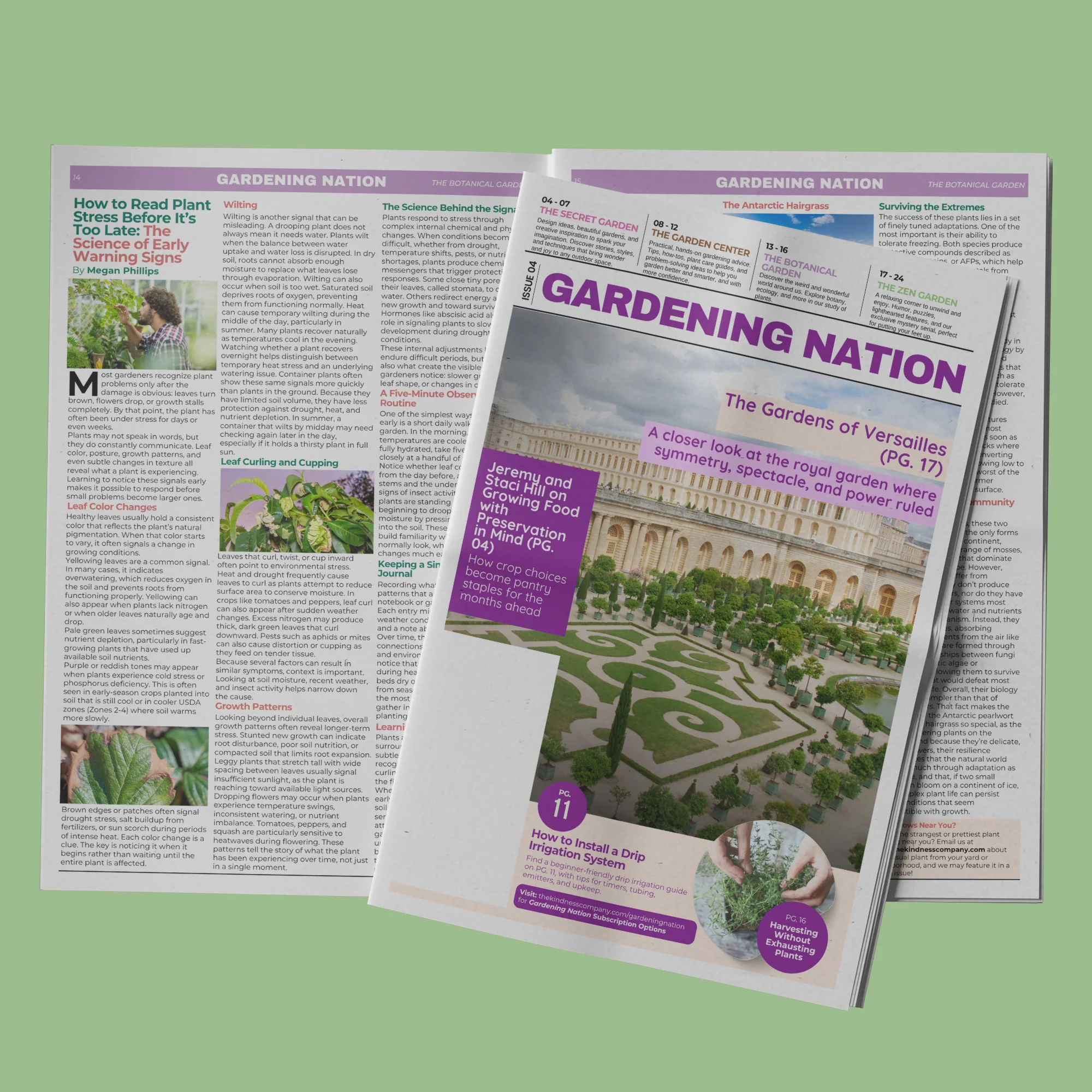 Gardening Nation • Issue 4 - Image 13