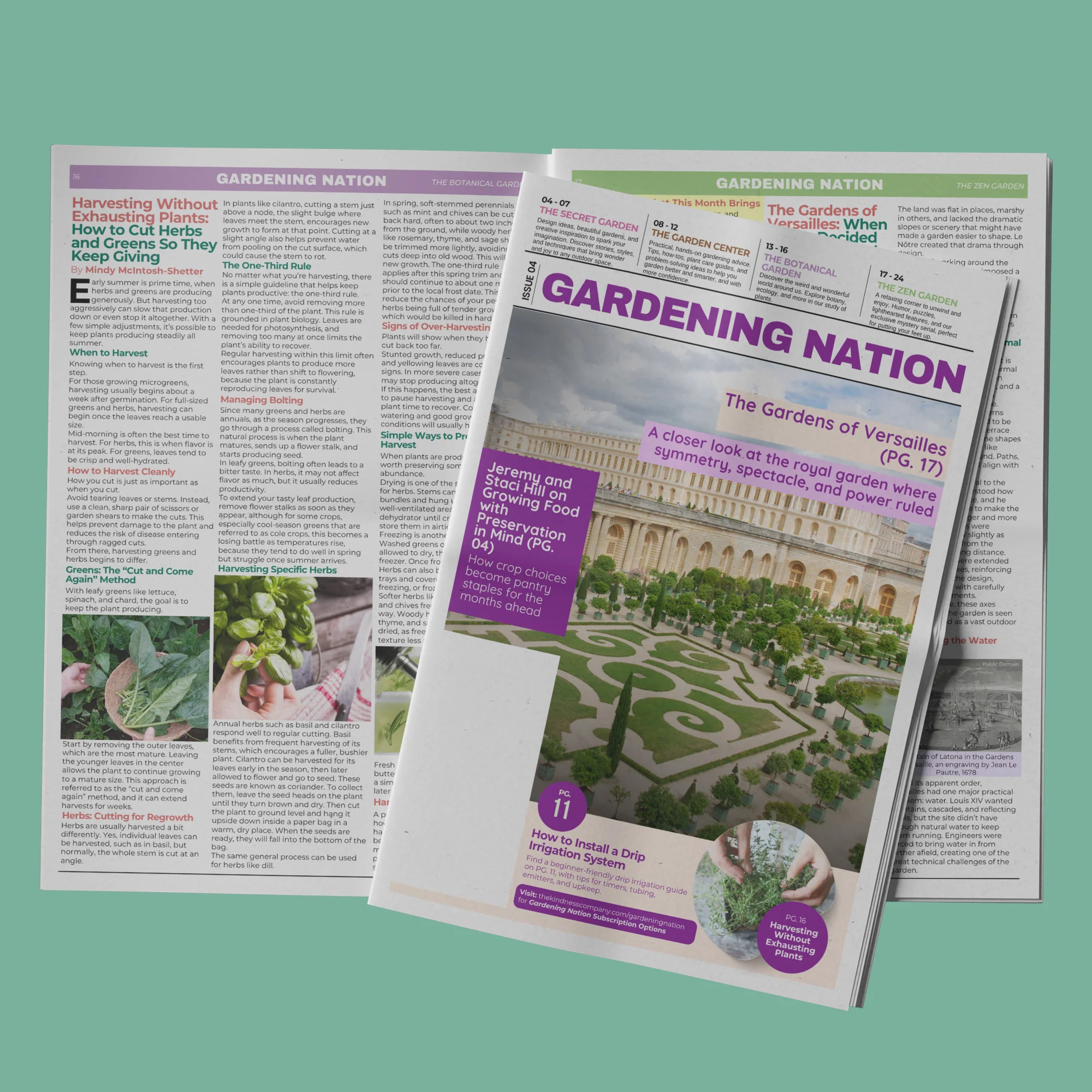 Gardening Nation • Issue 4 - Image 14