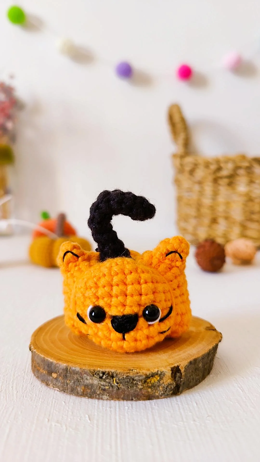 Spicepaw The Pumpkin Cat